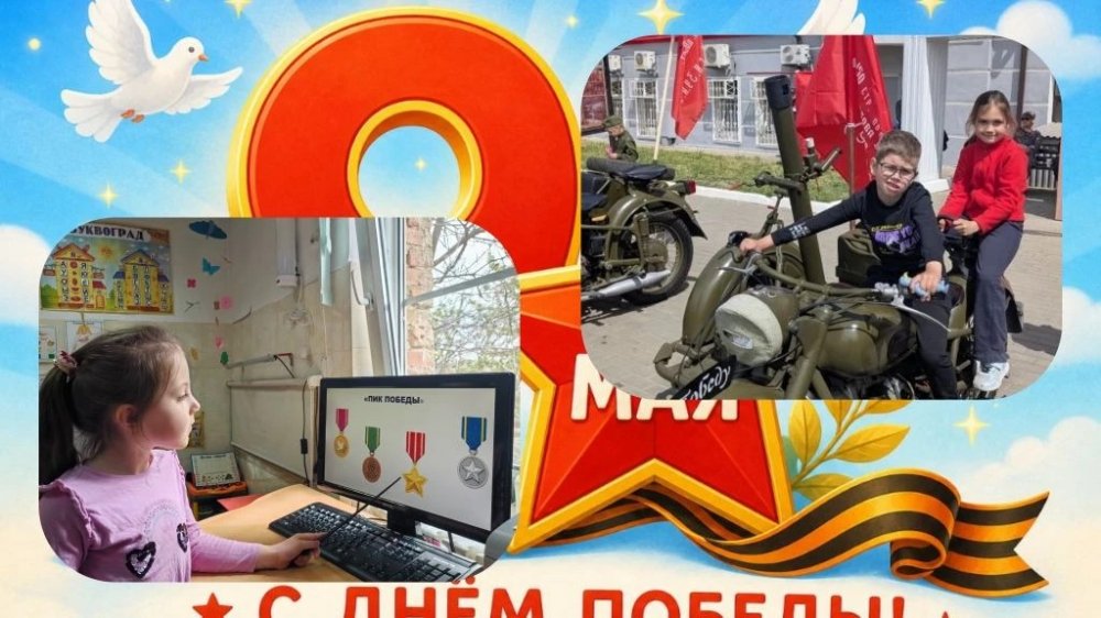 img (3)